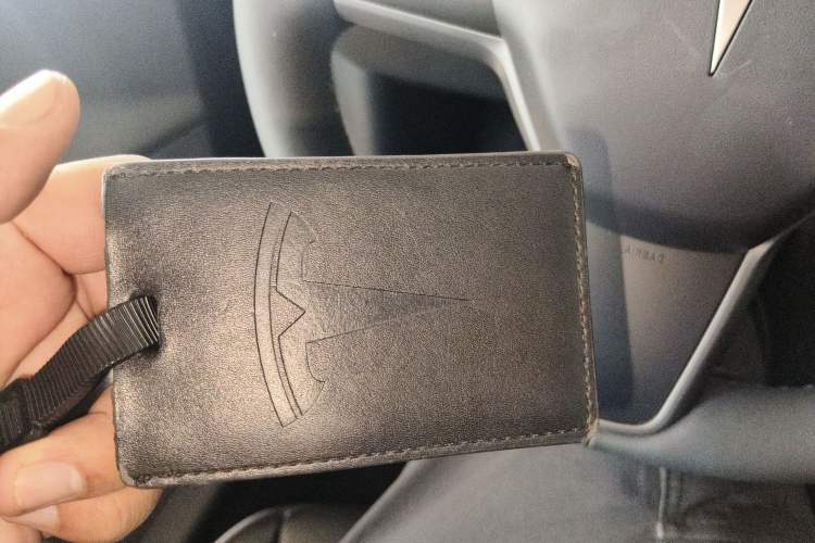 Used Tesla Model 3 2021 Standard Range Rear-Wheel Drive Upgraded Version 3D6