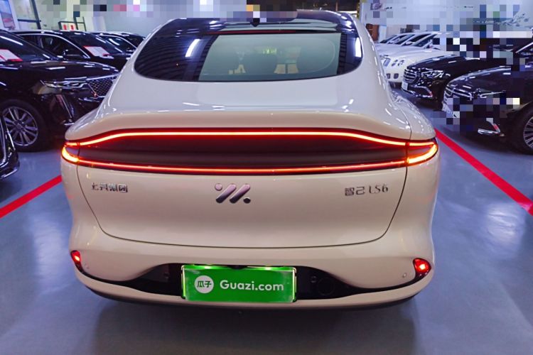 Used IM LS6 2023 Max Long-Range Version
