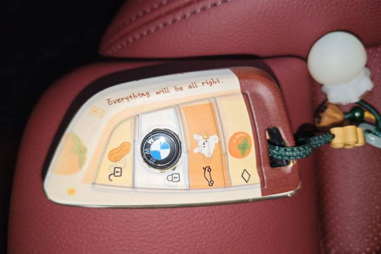 Used BMW X3 2022 xDrive30i Luxury Model M Night Sky Package