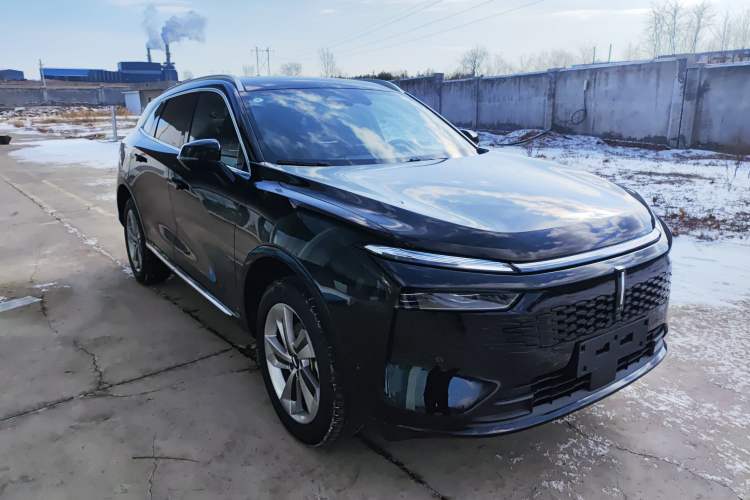 Used Wey Mocha New Energy 2024 Hi4 Four-Wheel Drive Long-Range Version
