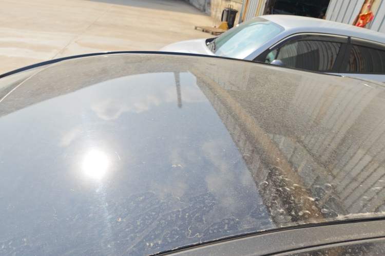 Used SOL E10X 2022 Flower Fairy Design Sunflower