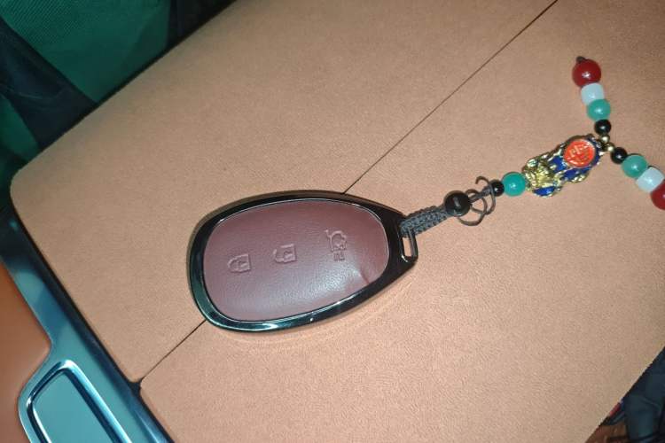 Used Qiyuan Q07 2025 215 Flagship Edition
