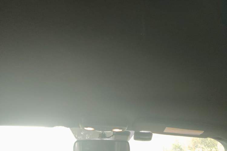 Used Ford Mustang 2017 2.3T Performance Edition Headliner