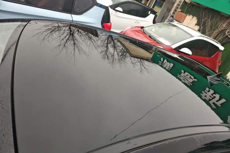 Used SOL E10X 2022 Flower Fairy Design Four-Leaf Clover Roof