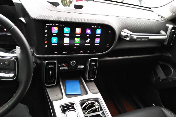 Used Haval DARGO 2024 2.0T DCT Chinese Rural Dog Edition
