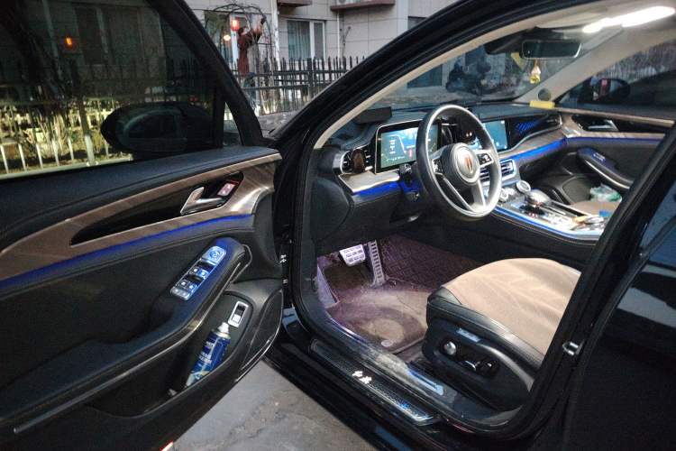 Used Hongqi H9 2020 2.0T Smart Connect Flagship Edition
