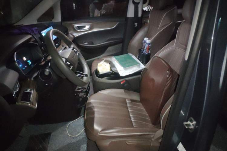 Used Roewe iMAX8 New Energy 2022 Silver Edition Left Front Seat