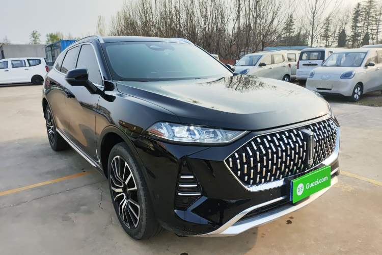 Used Wey Mocha 2021 2.0T Four-Wheel Drive Premium Edition
