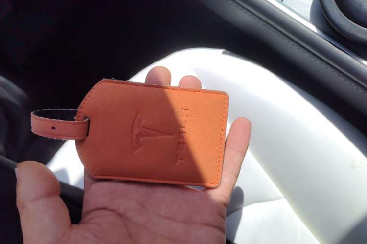 Used Tesla Model Y 2021 Standard Range Rear-Wheel Drive Version