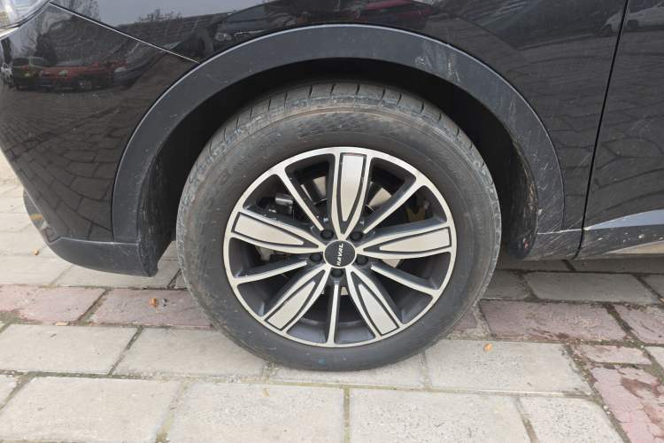 Used Haval H6 2023 National Trend Edition 1.5T Automatic Champion Version
