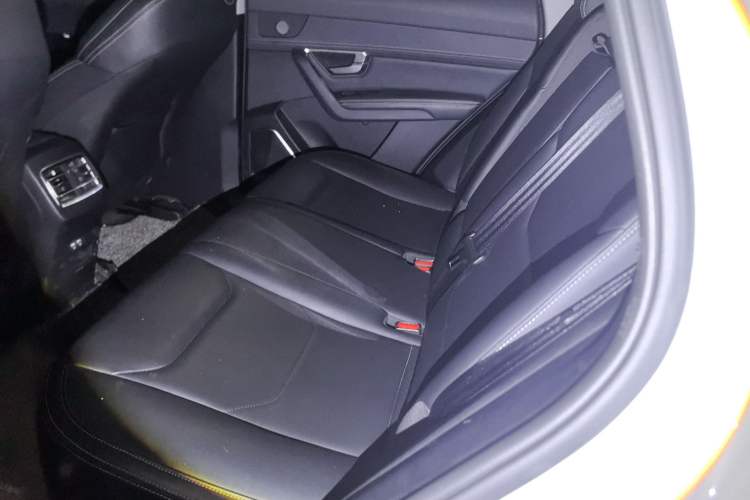 Used BYD Song Pro 2019 1.5T Automatic Luxury Model Left Rear Seat