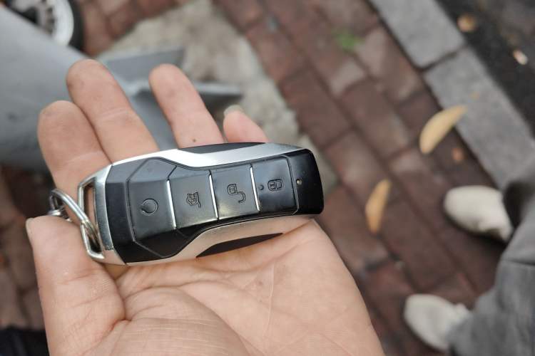 Used BYD e9 2021 Business Edition
