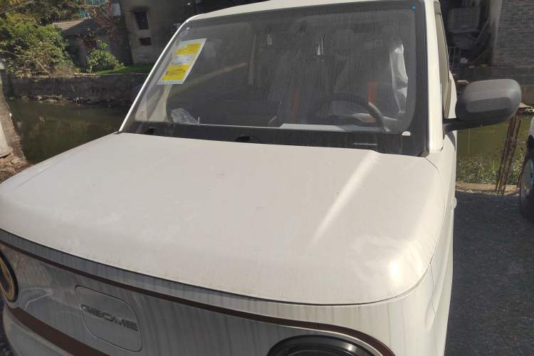 Used Geely Galaxy Panda 2024 Panda Mini 200km Endurance Bear
