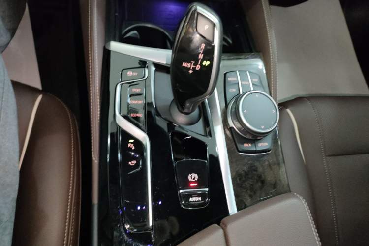 Used BMW 5 Series 2021 530Li Leading Model M Sport Package