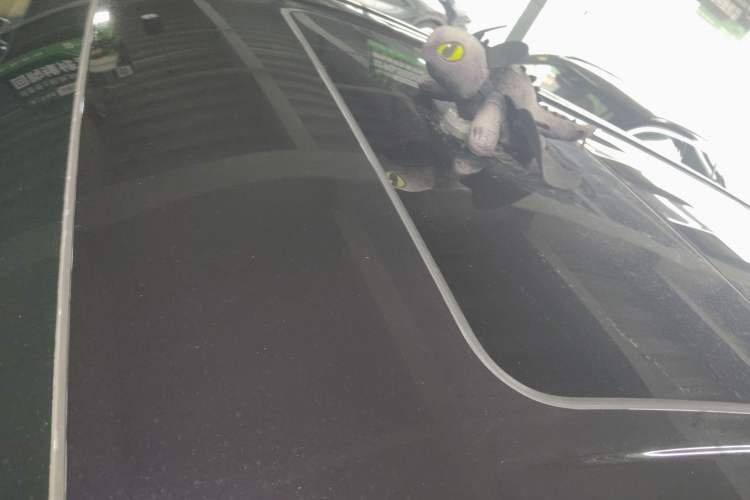 Used VOYAH Dream 2022 Low-Carbon Edition Plus Intelligent Driving Package
