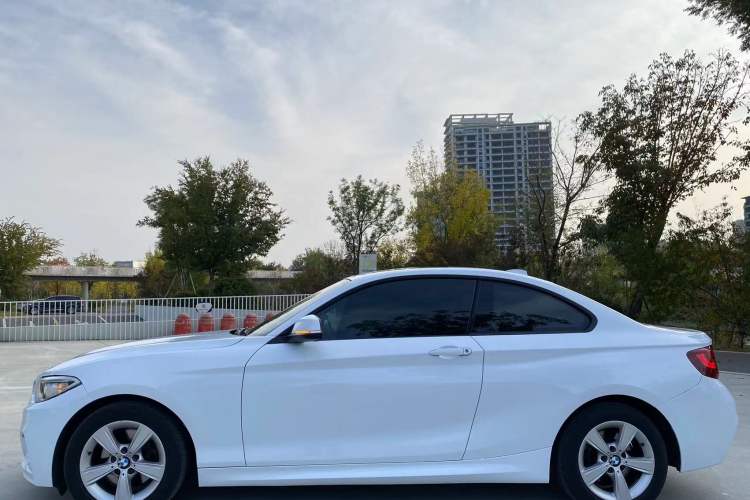 Used BMW 2 Series 2014 220i Leading Model
