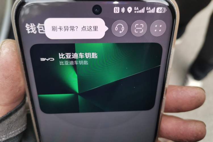 Used BYD Seagull 2023 Free Edition Vehicle Key