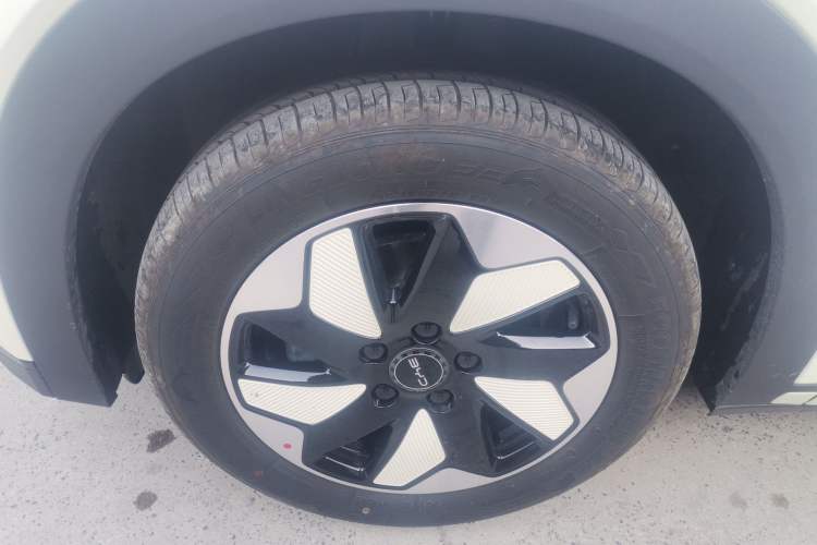 Used BYD Dolphin 2025 420km Free Edition