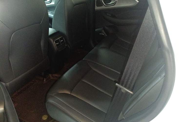 Used Roewe RX5 2022 330TGI Automatic National Style Edition Left Rear Seat