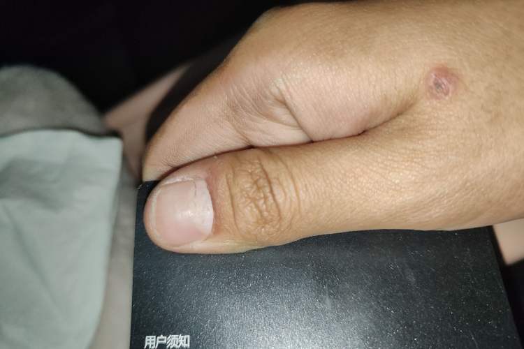 Used BYD Seagull 2024 Honor Edition 305km Dynamic Version