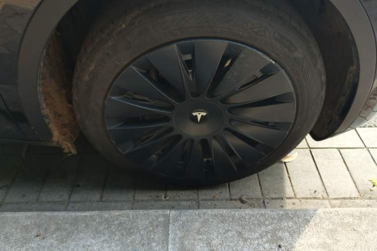 Used Tesla Model Y 2023 Rear-Wheel-Drive Version