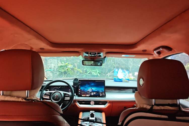 Used Tank 500 2022 3.0T High-End Custom Edition 5 Seats Headliner