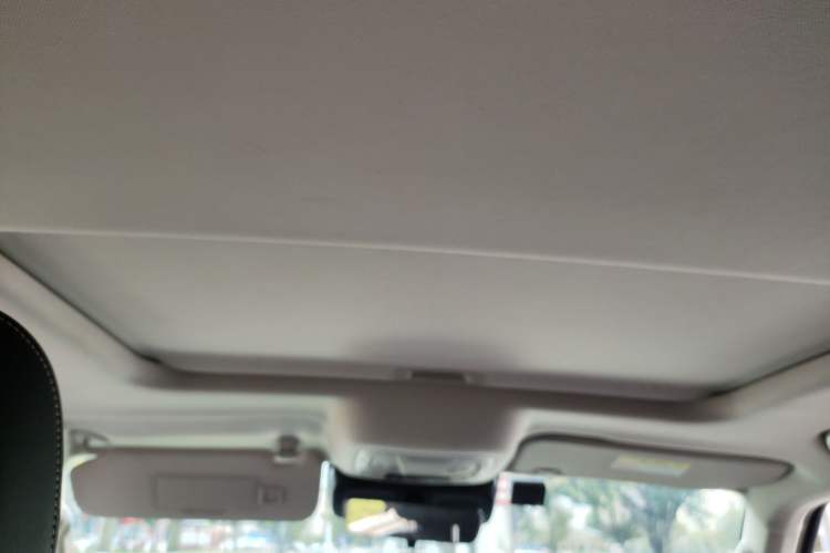 Used Tank 300 2021 Off-Road Edition 2.0T Conqueror
