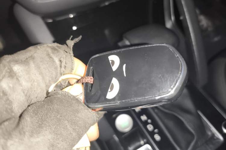 Used BORGWARD BX7 2018 28T 2WD Premium 5-seater National V
