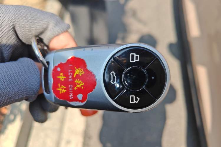 Used ORA Good Cat 2023 401 km Standard Range Luxury Version Lithium Iron Phosphate