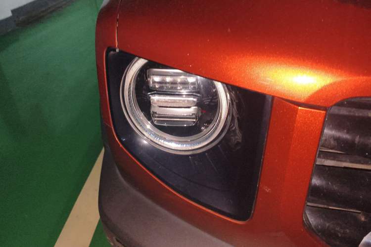 Used Haval DARGO 2021 2.0T DCT 4x4 Chinese Rural Dog Edition
