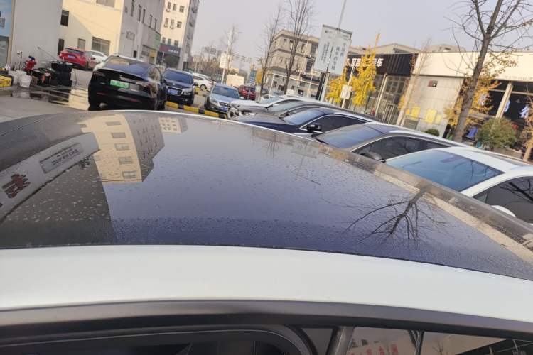 Used Tesla Model Y 2021 Long-Range All-Wheel-Drive Version 3D7