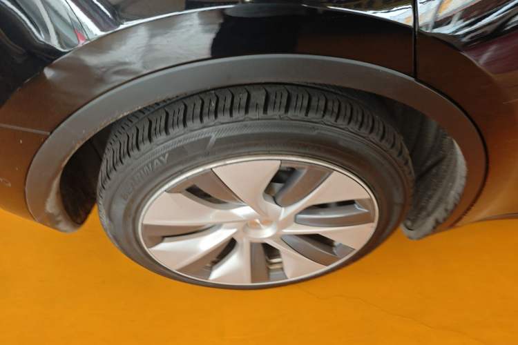 Used Tesla Model Y 2021 Standard Range Rear-Wheel Drive Version
