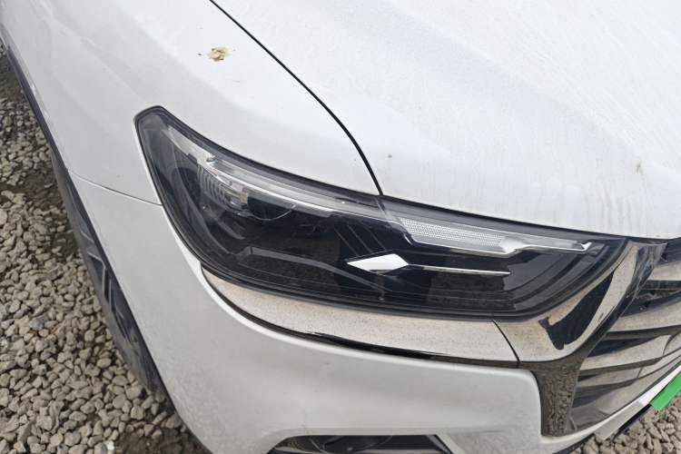 Used Haval H6 2021 National Trend Edition 1.5T Automatic Urban Version
