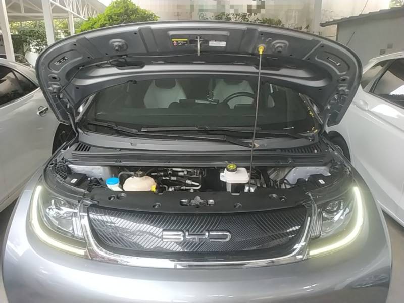 Used BYD Dolphin 2021 405 km Fashion Edition — 19