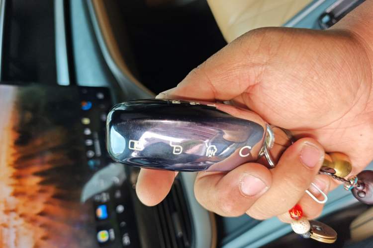 Used Denza D9 2022 DM-i 1040 Prestige Model