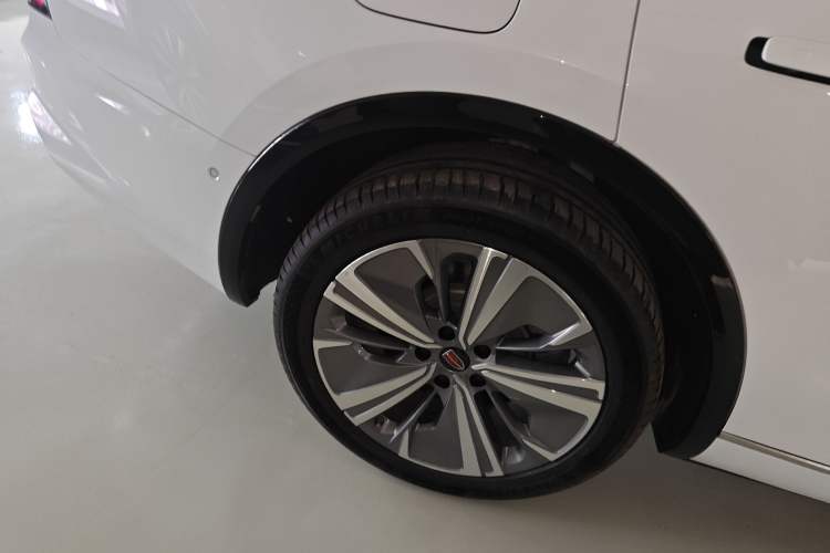 Used Hongqi E-HS9 2024 660 km Range Flagway Edition Six Seats
