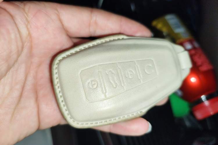 Used Geely Auto Monjaro L 2021 2.0TD DCT EVO Two-Wheel Drive Smart Luxury Version Vehicle Key