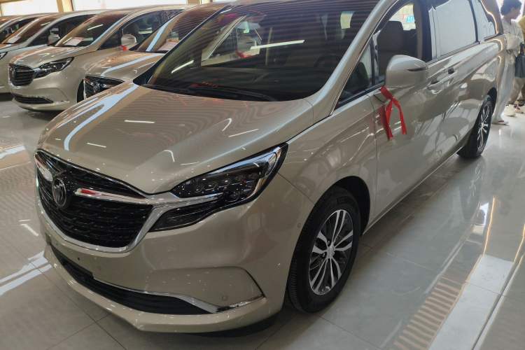 Used Buick GL8 2022 ES Landtrek 653T Luxury Edition