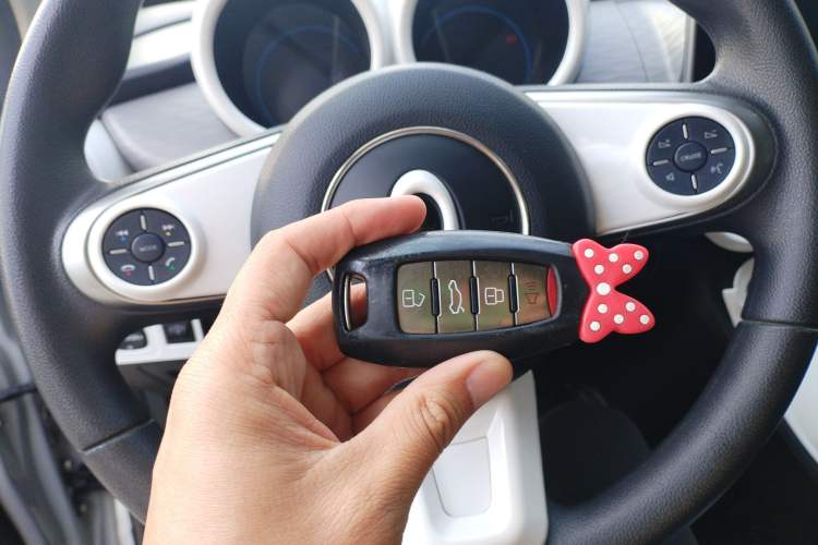 Used ORA Black Cat 2019 351 km Family Edition
