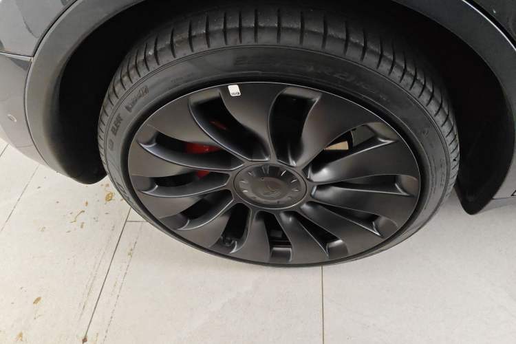 Used Tesla Model Y 2022 Performance High-Performance All-Wheel-Drive Version Exterior 5