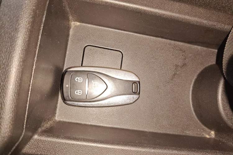 Used Dayun Yuehu 2023 300 Standard Edition
