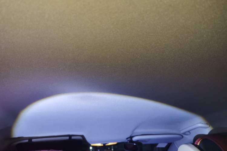 Used Ford Focus 2013 Hatchback Classic 1.8L Automatic Base Model Headliner