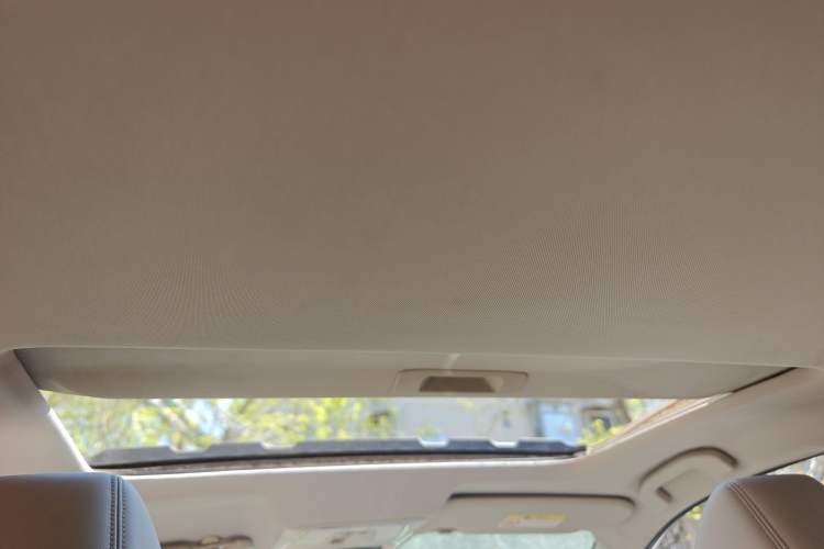 Used Venucia T90 2017 2.0L CVT Smart Edition Headliner