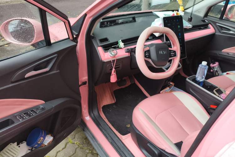 Used NETA V 2021 Witch Edition