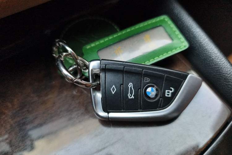 Used BMW 5 Series 2018 528Li Launch Special Edition
