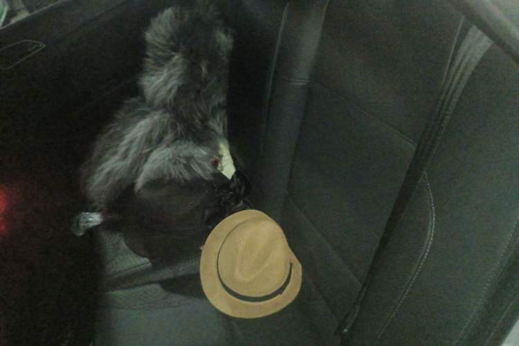 Used Hyundai Mistra 2017 1.8L Automatic Smart GLS China V Standard