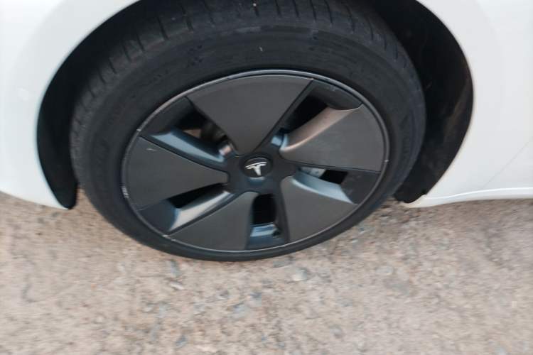 Used Tesla Model 3 2021 Revised Version Standard Range Rear-Wheel Drive Upgraded Edition 3D1