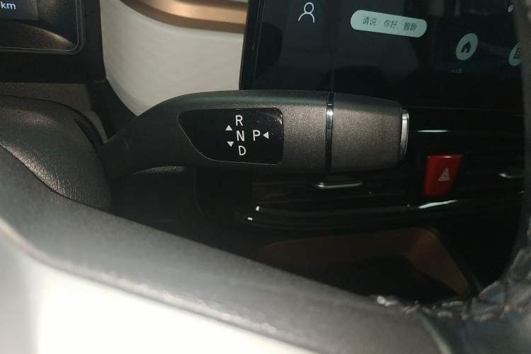 Used SOL E10X 2022 Flower Fairy Style Baby's Breath
