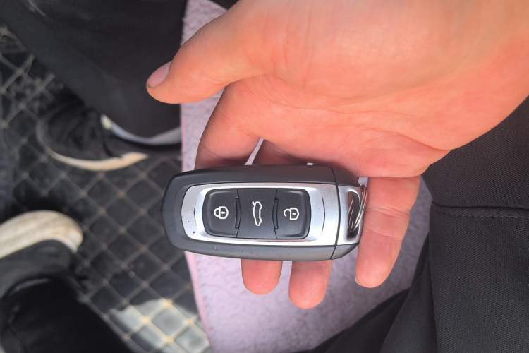 Used Geely Galaxy Panda 2024 Panda Mini 200km Endurance Bear Vehicle Key