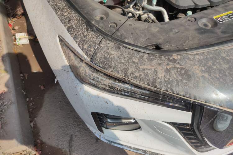 Used Hongqi H5 2024 2.0T Automatic Smart Connect Flagship Edition
